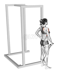 带前侧平举 demonstration