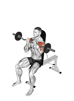 EZ-bar Sedadlo Close grip Shoulder Press demonstration