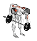 Thumbnail for the video of exercise: Barbell Bent Over Wide Alternate Row Plus