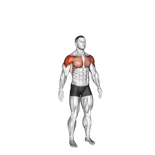 서클 암 demonstration