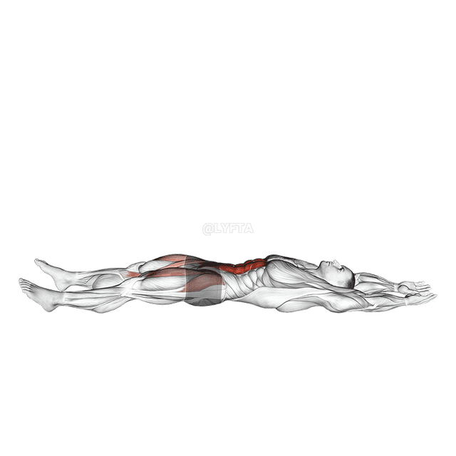 Recta Crus Sede-up demonstration