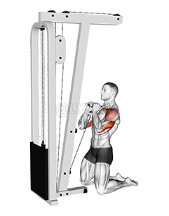 Жим от плеч с колена на тросе demonstration