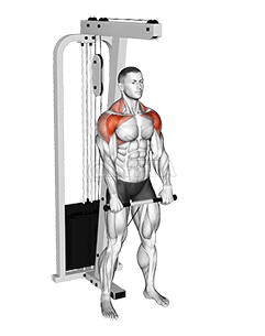 Thumbnail for the video of exercise: Cable Standing Front Raise Variation