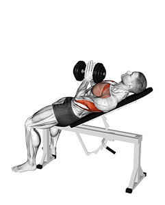 Variação de imprensa de aperto fechado inclinado com halteres demonstration