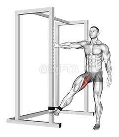 ब्यान्ड हिप एडक्शन demonstration