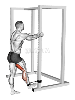 Сгибание ног стоя с лентой demonstration