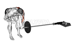 Mina terrestre com um braço dobrado demonstration