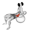 Dumbbell Russian Twist demonstration