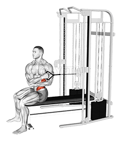 Cable Seated Cross Arm Twist demonstration