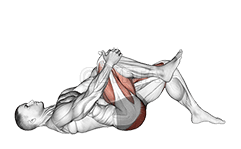 घुटने से छाती तक के साथ सिंगल लेग ग्लूट ब्रिज demonstration