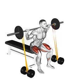 Thumbnail for the video of exercise: बारबेल बैंडेड बेंच स्क्वाट