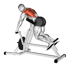 Thumbnail for the video of exercise: लीवर पट्टी बैंड टी-बार पंक्ति बा