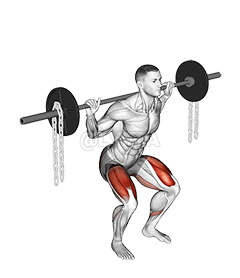 Langhantel-Kniebeuge mit Ketten demonstration