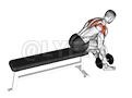 Dumbbell Seated Bent Over Alternate rear Delt Fly demonstration