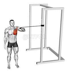 Band Cross Body One Arm Chest Press demonstration