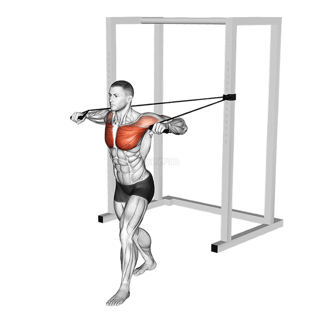 Band Standing Alternatyf Chest Press demonstration