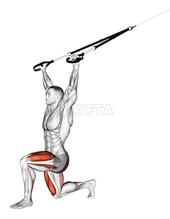 Thumbnail for the video of exercise: रियर फ्लाई के साथ सस्पेंडर फॉरवर्ड लंज