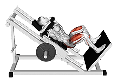 Sled Bal'aa Hack Squat demonstration