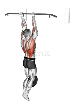 Chin-Up ponderado demonstration