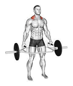 Nassa Bar Weqfin Shrug demonstration