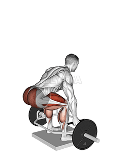 缺陷斜方杠硬拉 demonstration