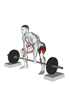 Barbell Sumo Deadlift from Blocks demonstration