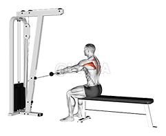 电缆坐式水平耸肩 demonstration