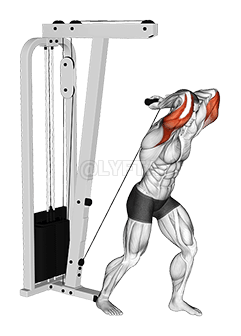 Thumbnail for the video of exercise: Cable Ukaxa Tricep Extensión ChiqapaT-bar