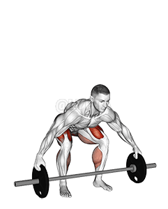 Levantamento terra com barra Reeves demonstration