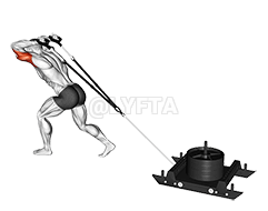 Thumbnail for the video of exercise: تمديد قوة الزلاجة ثلاثية الرؤوس