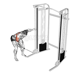 Thumbnail for the video of exercise: Cable One Arm Reverse Fly