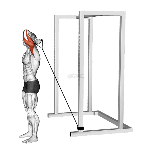 Extensão de tríceps de braço único com faixa suspensa demonstration