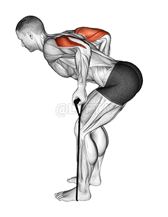 Banda de retrocesso de tríceps demonstration