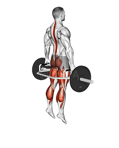 Trap bar -hyppykyykky demonstration