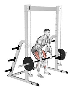 Smith Rack Pull demonstration