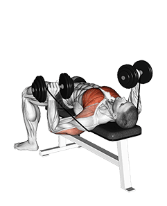 Жим лежа с гантелями demonstration