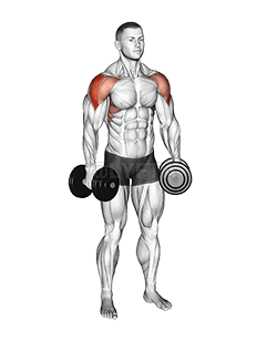 Thumbnail for the video of exercise: Dumbbell Partials Lateral Raise