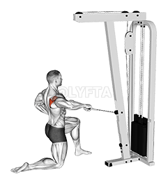 Thumbnail for the video of exercise: Cable Half Kneeling External Rotation