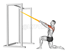 Resistance Band Tarik Wajah Setengah Berlutut demonstration