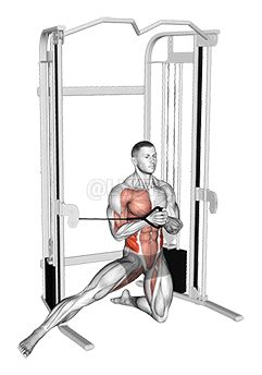 Cable Half Kneeling Adductor Pallof Press demonstration
