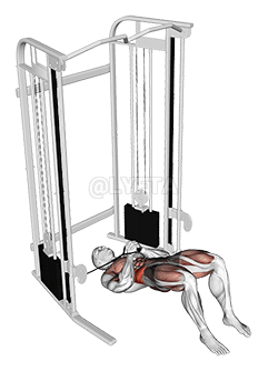 Thumbnail for the video of exercise: د ګلوټ پل سره کیبل پالوف پریس