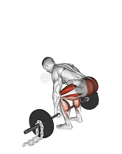 Thumbnail for the video of exercise: Становая цяга са штангай на ланцугах