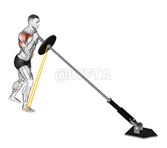 Pita Penahan Ranjau Darat Penekan Bahu Satu Lengan demonstration