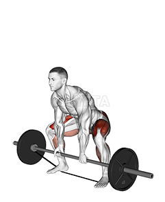 Barbell Banded Sumo Deadlift demonstration