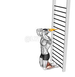 Widerstandsband-unterstützter nordischer Hamstring-Curl demonstration