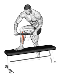 Thumbnail for the video of exercise: Tiger Tail Peroneal