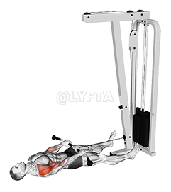 直立列に敷設されたケーブル demonstration