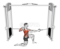 Thumbnail for the video of exercise: Cable Half Kneeling Push Pull