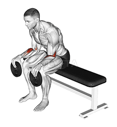 Ponpsyon chita demonstration