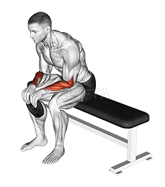 Thumbnail for the video of exercise: भारित उपविष्ट विपरीत कटिबन्ध कर्ल